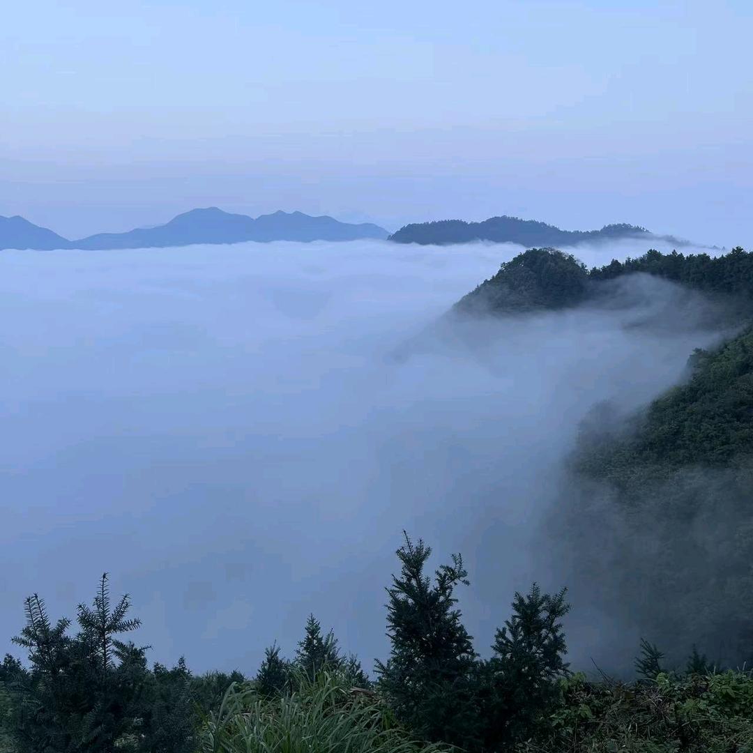 云上徐歌
