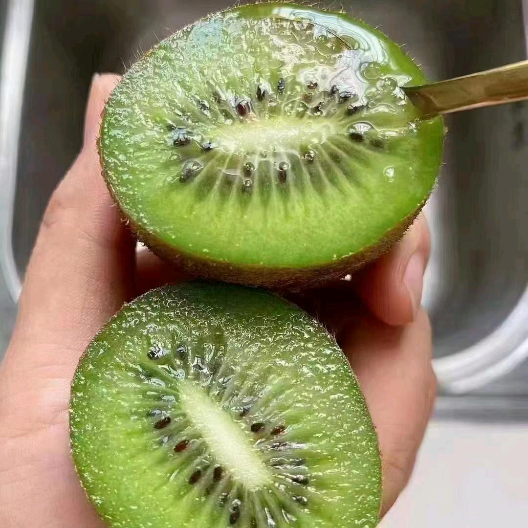 猕猴桃自家种植