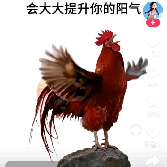 永安逸远