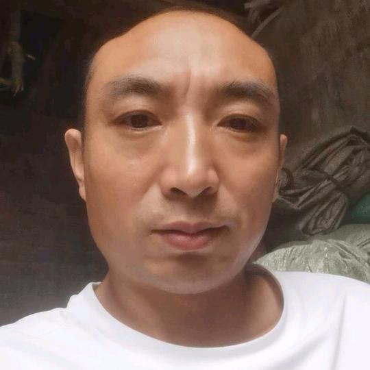 阿树