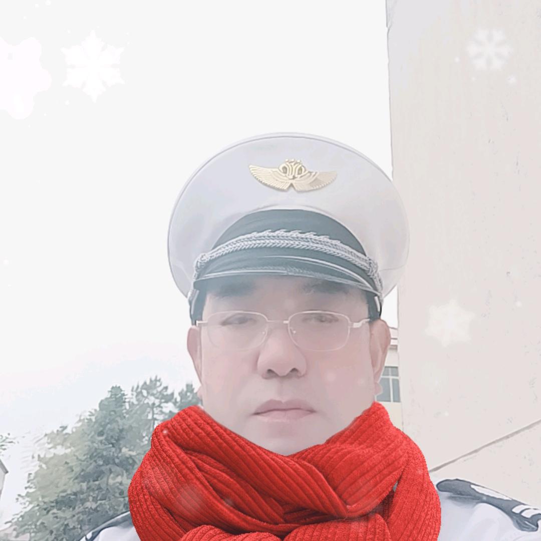 蓝天孤雁飞
