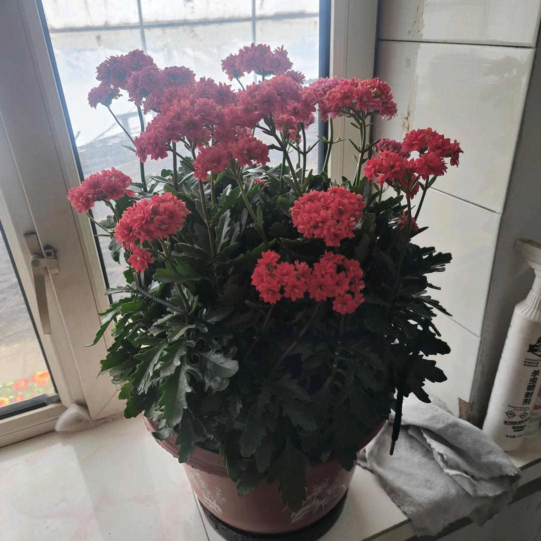 缘份的天空_255617484