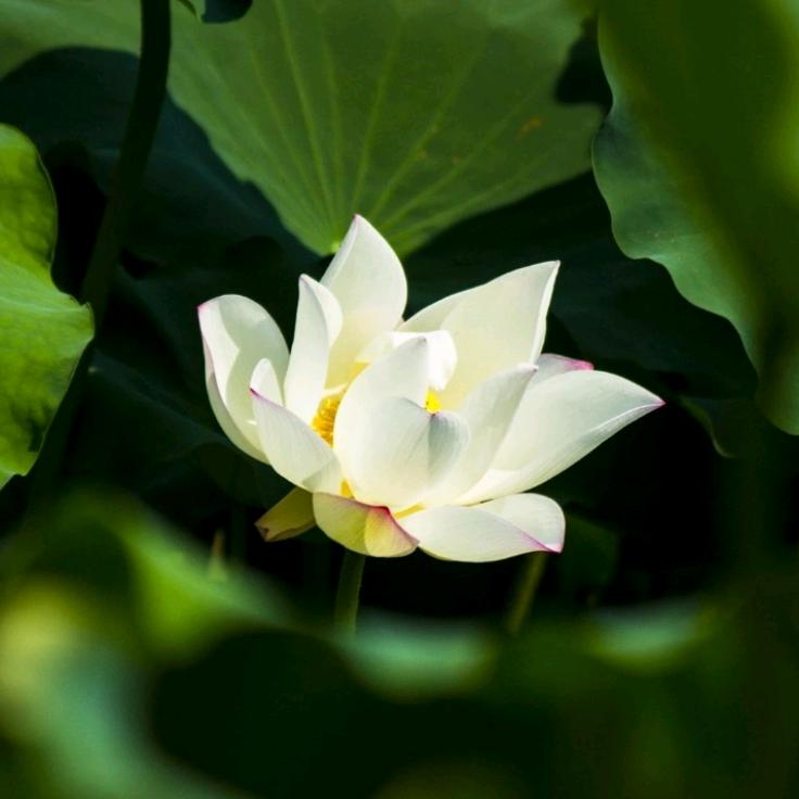 ꧁🌺余生꧔ꦿ爱自己℘᭄ᩚ꯭ᩚ💞