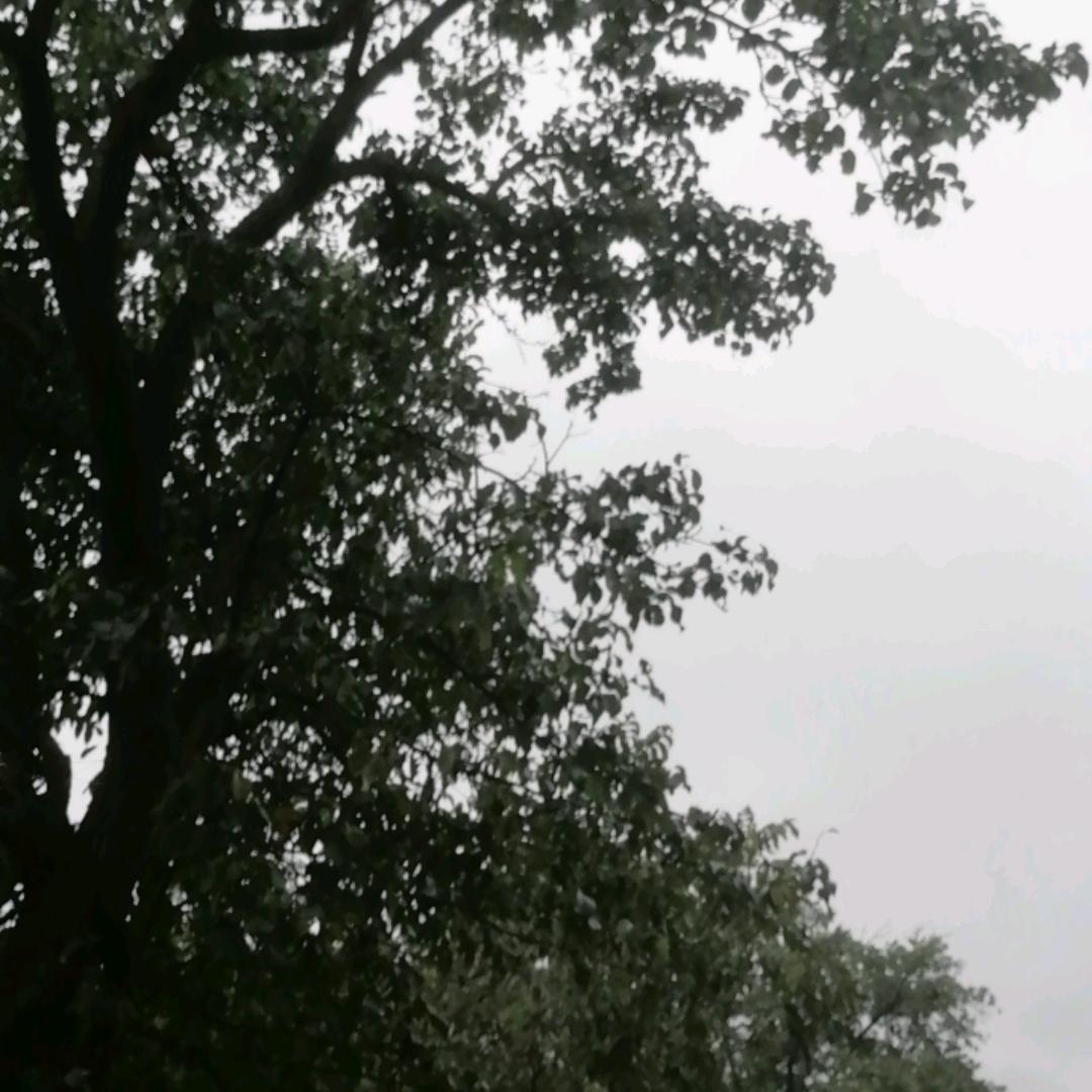 一切都变了