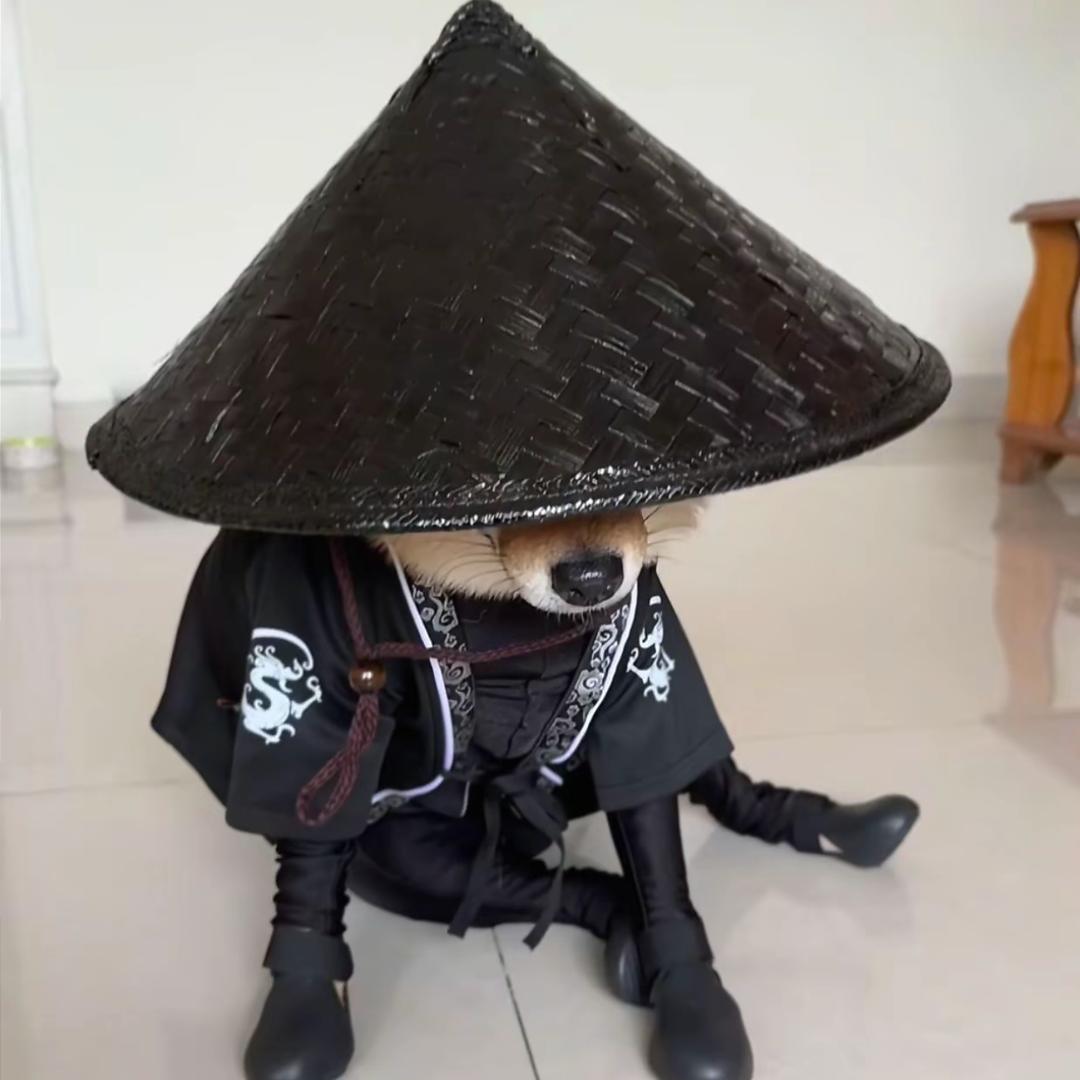 洄游鱼