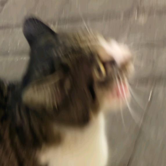 FADJ