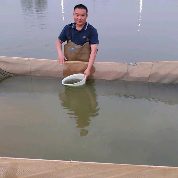 爱生水产鱼苗养殖