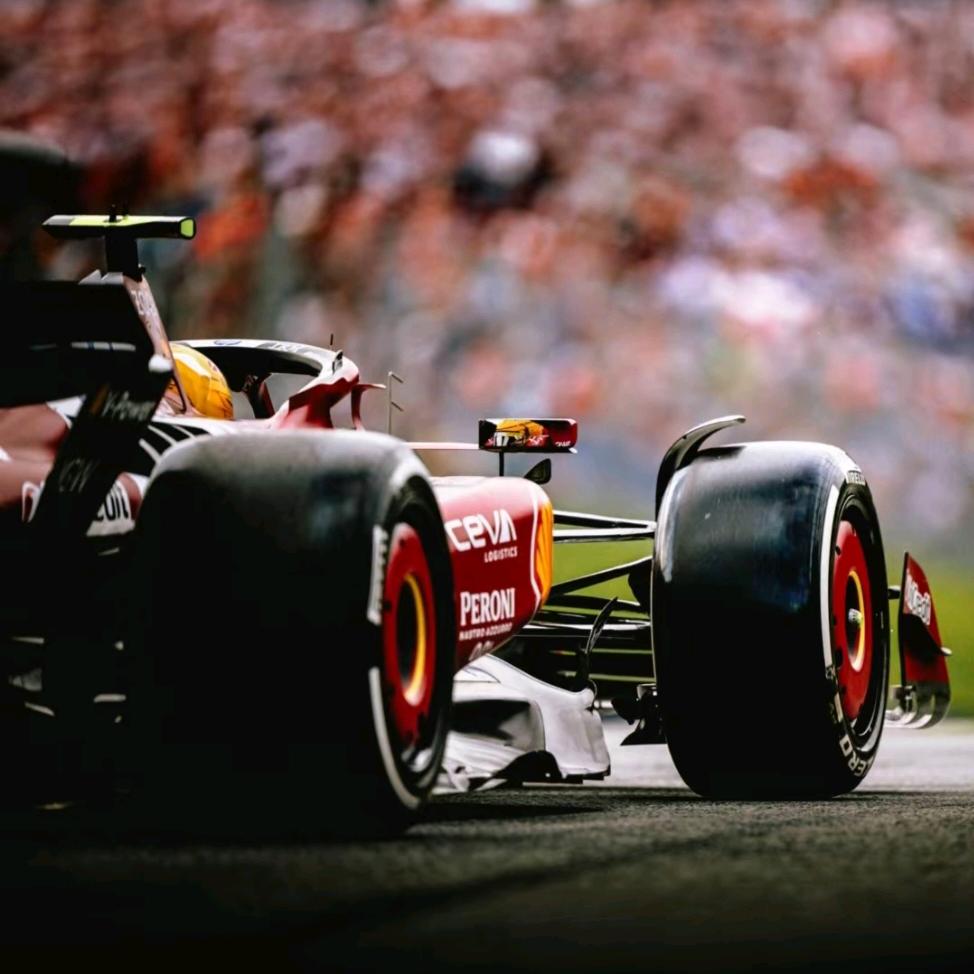 渔王的网（明德光屿记zhe）