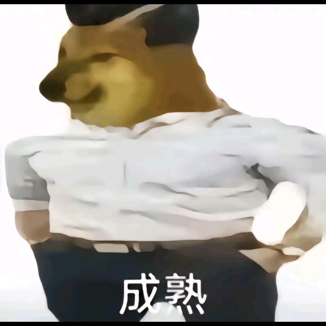 最后一个冤种