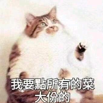 哈瓦伊波波乌波