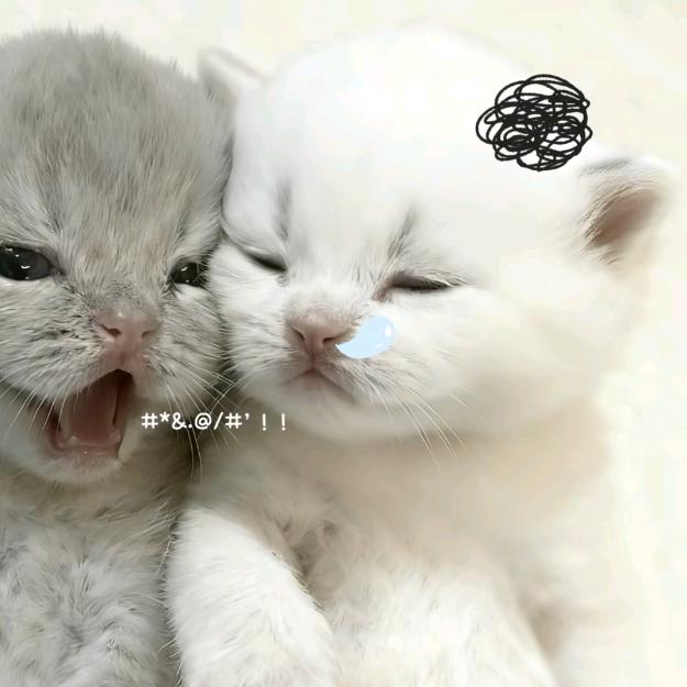 水水