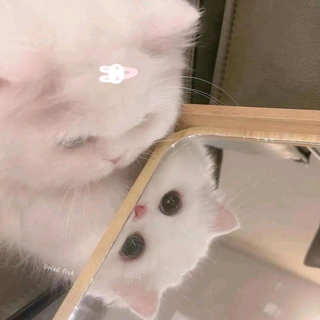 上海宸欣游戏有限公司