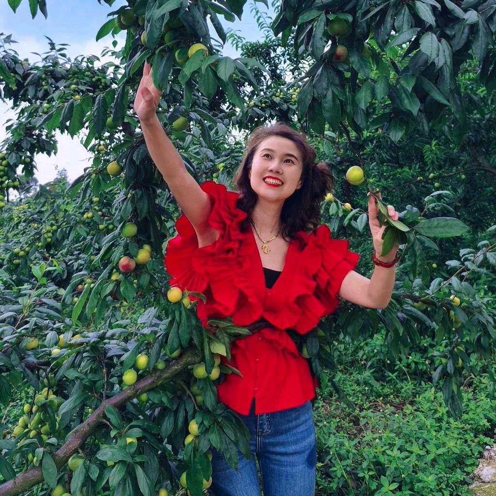 良县令一品一播