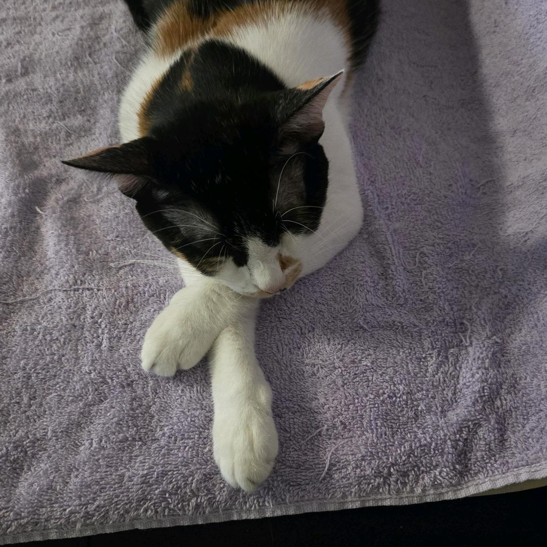 1加1等於1的1次方