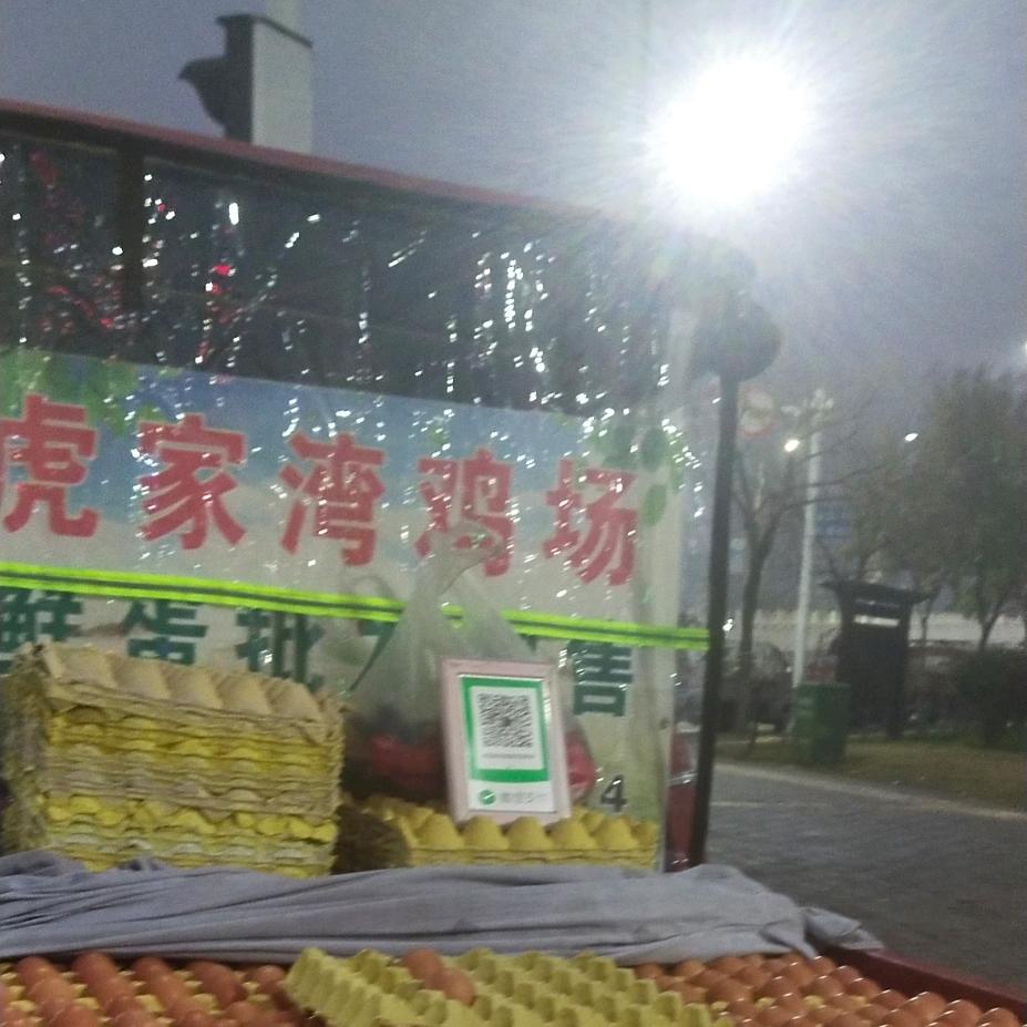 虎家湾养鸡胖女子