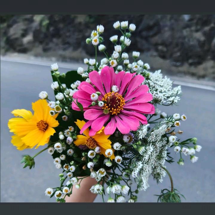 @এ᭄葑ຼ訫ᩘ꯭💔ᩘ꯭鎖愛ຼ༊: