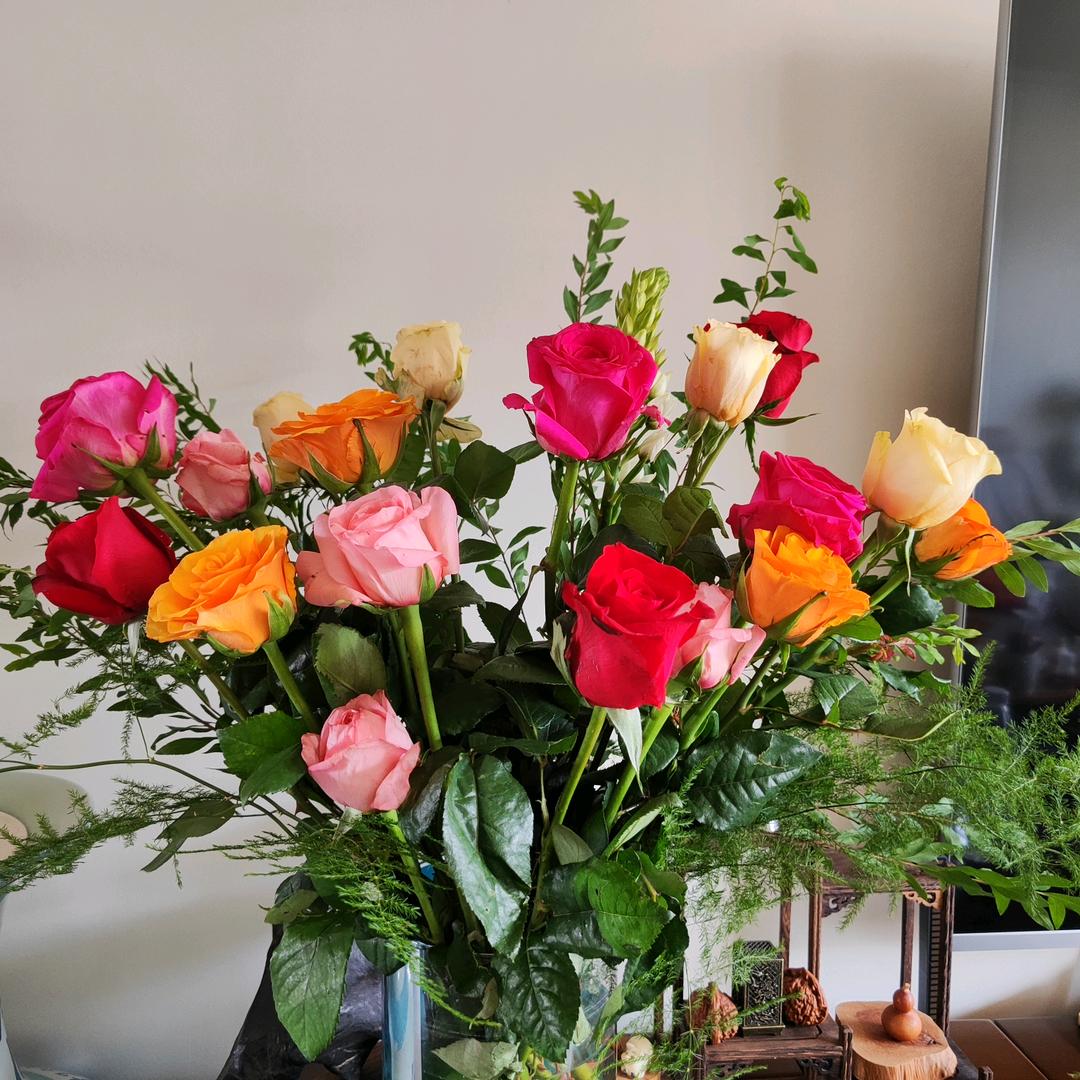 猪猪侠🐷🐷🐷