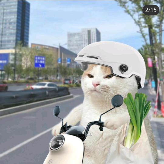 淮南市广成汽车