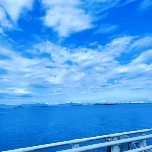 🍷放空·平和
