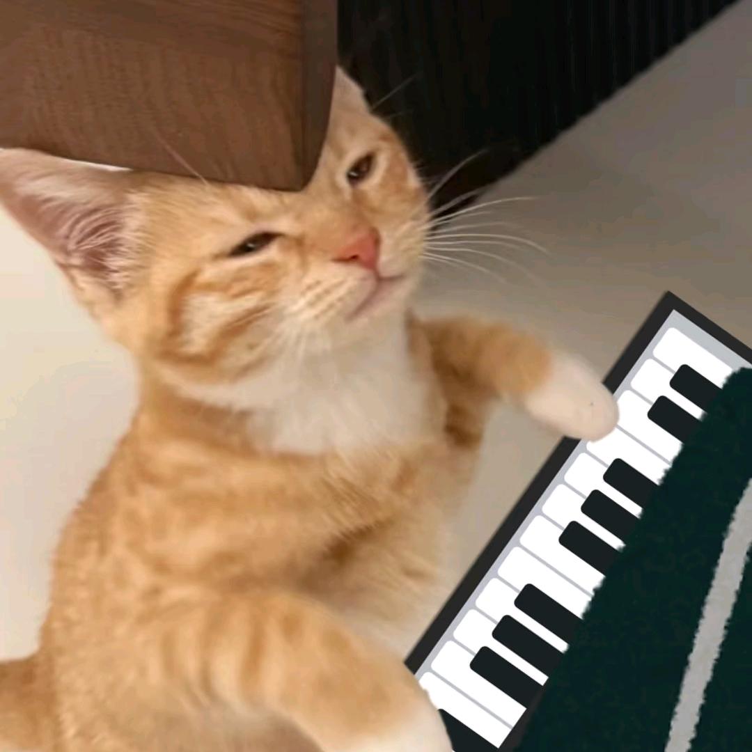 立志成为鼠人王