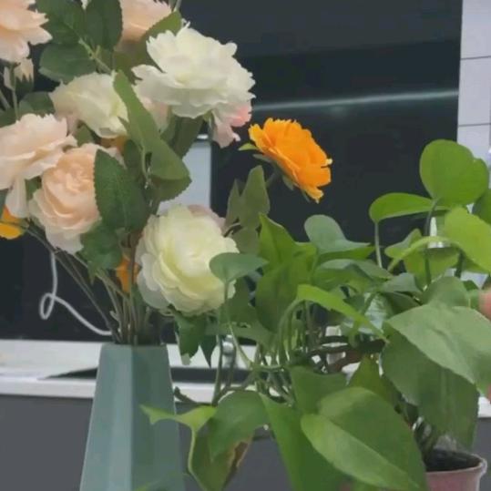 美大集成灶.易开得净水（郯东路店）