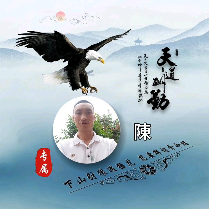 蓝鹰