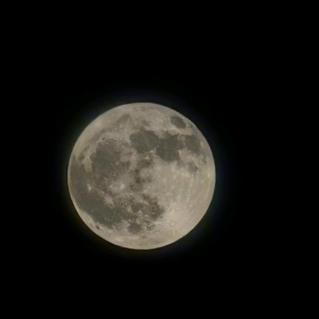 ᝰꫛ无名ಇ᭄先生࿐