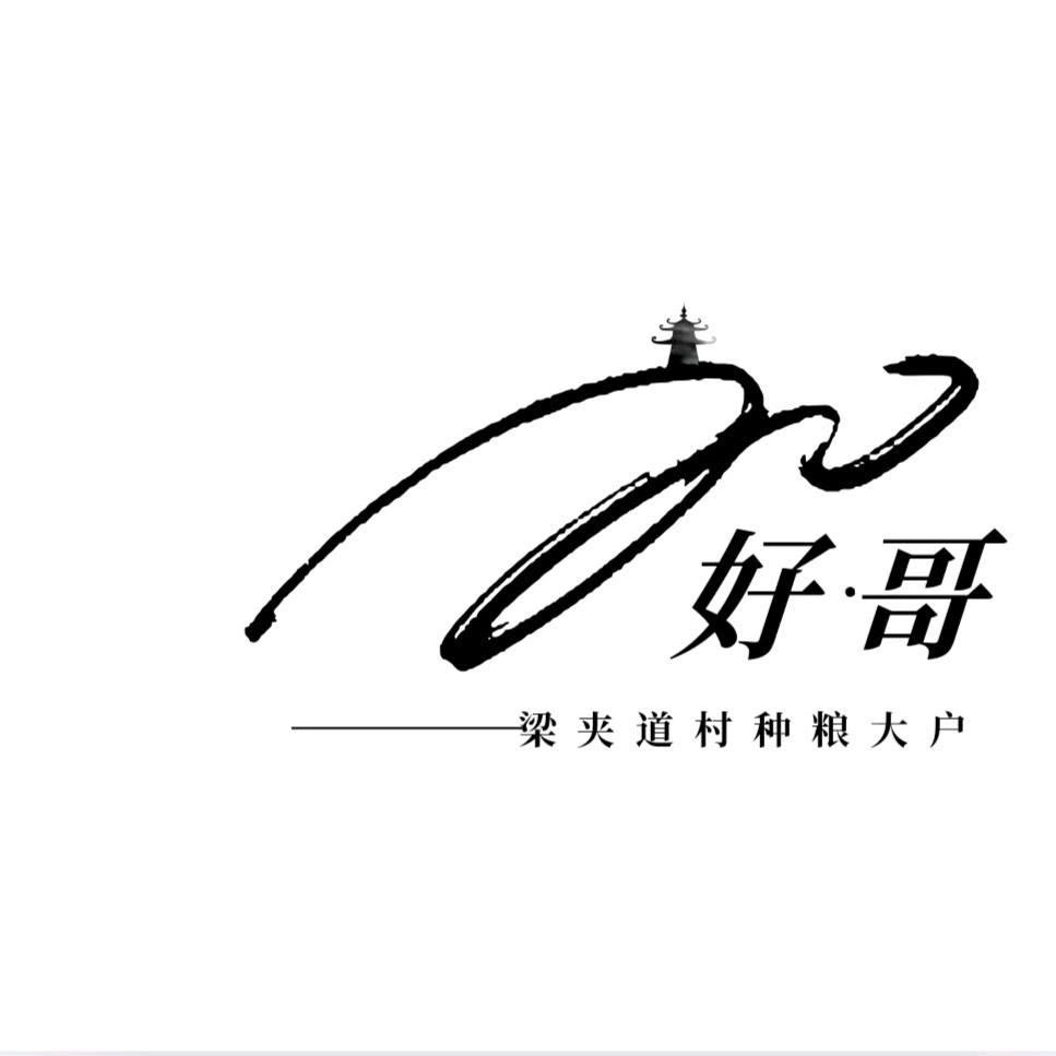 乡创未来（好哥）