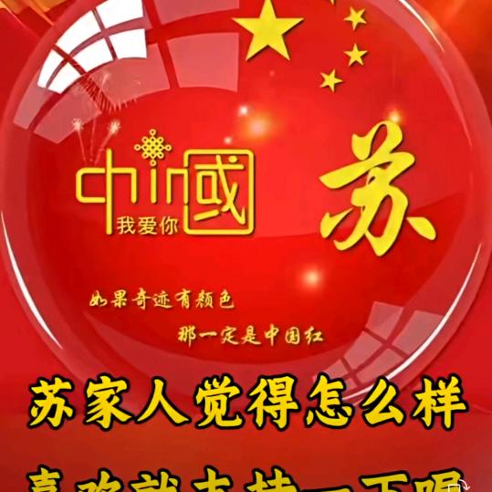 中年大苏
