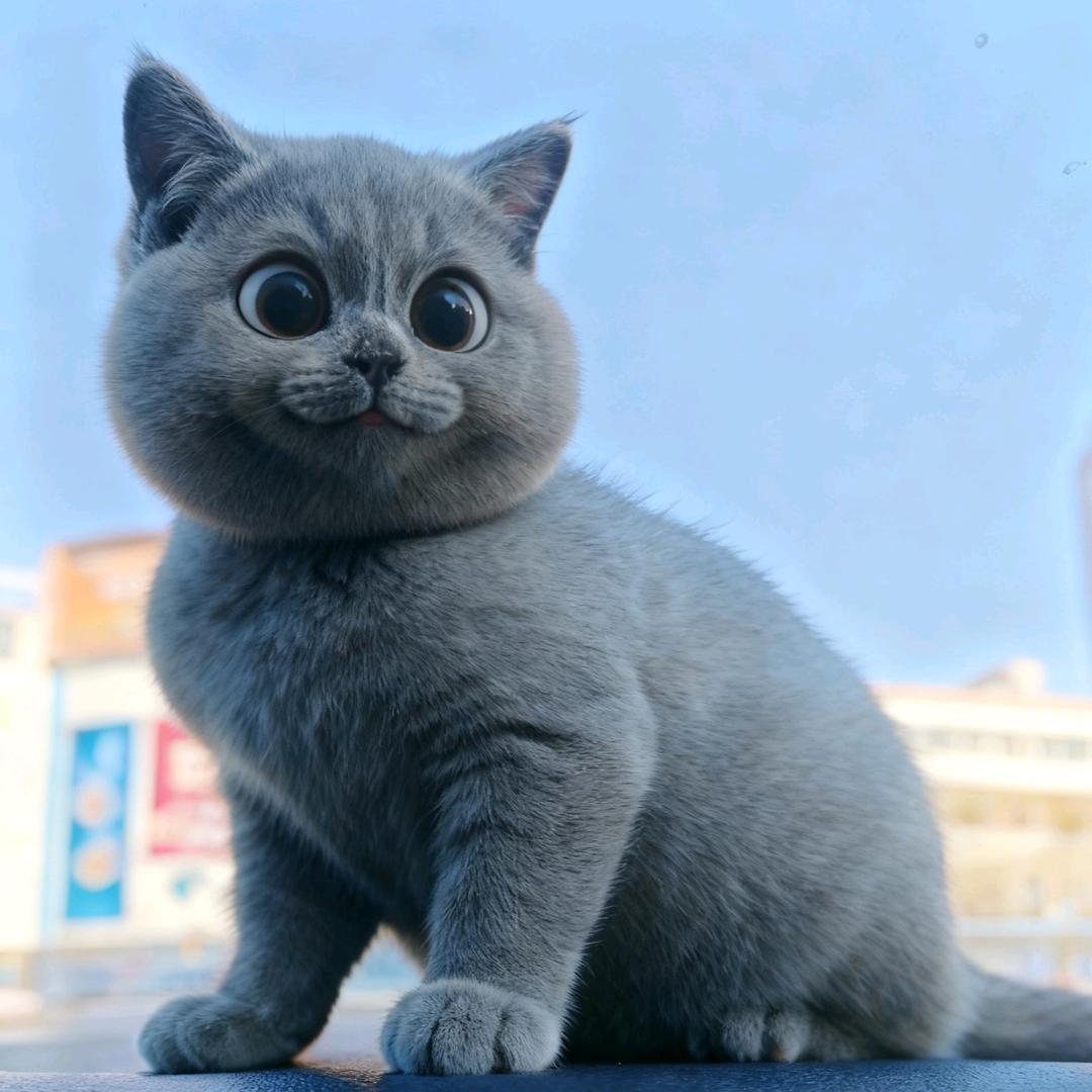 杏坛路荣耀店-张亭亭