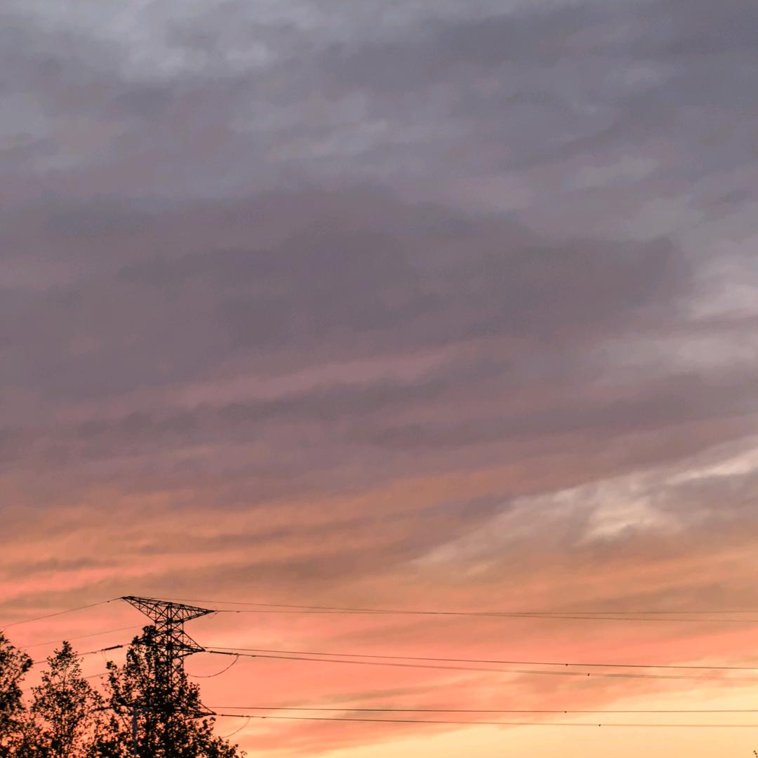 不爱运动的小人人☁