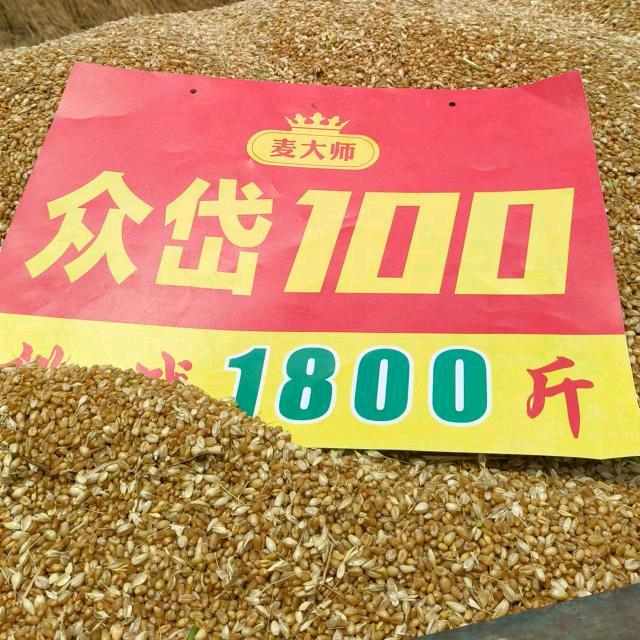油坊店乡郑氏农资