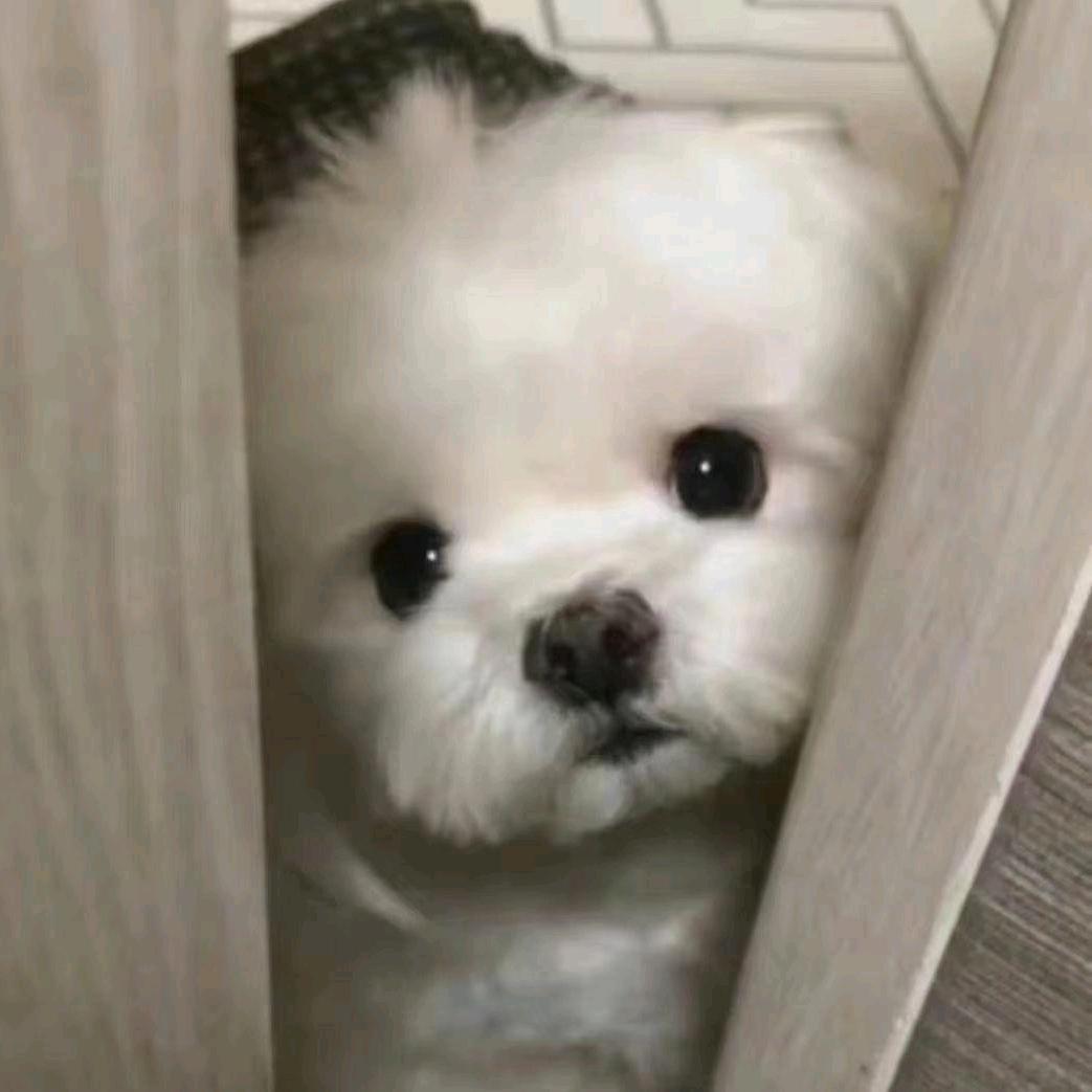 王小碎