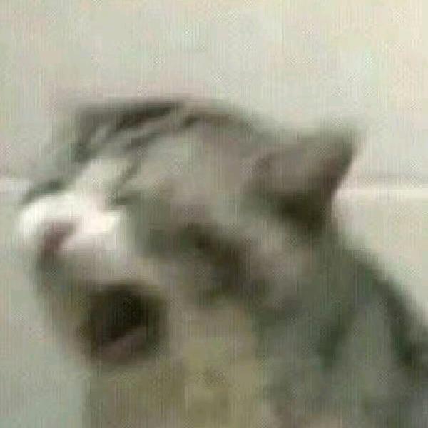 猛击所有人高玩