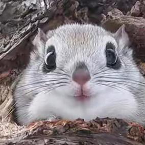 看热闹不嫌事大