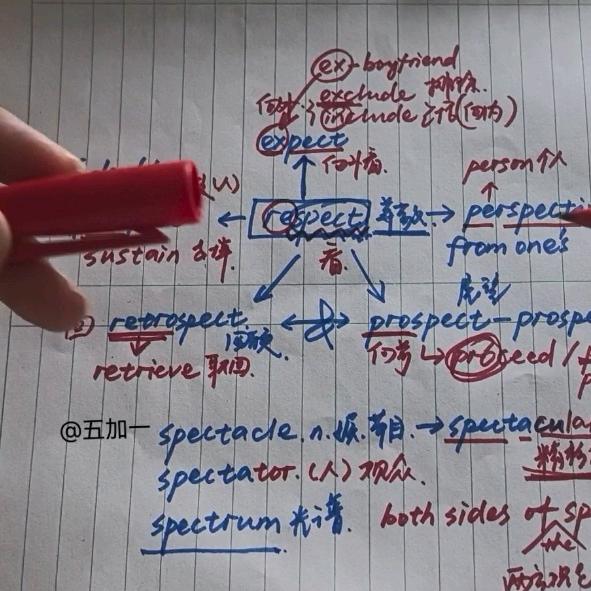 五加一