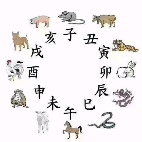 随波逐流