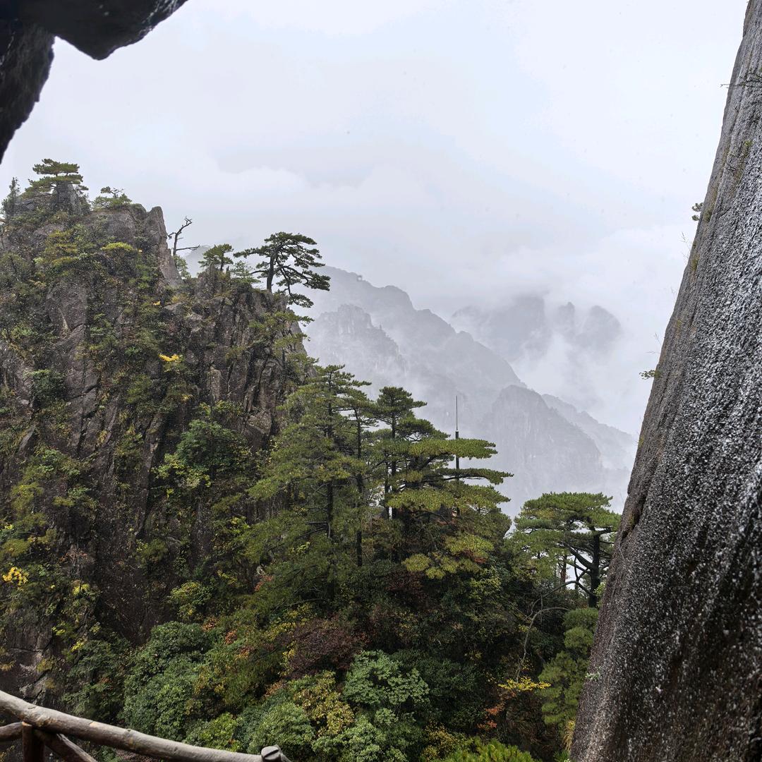 走走停停