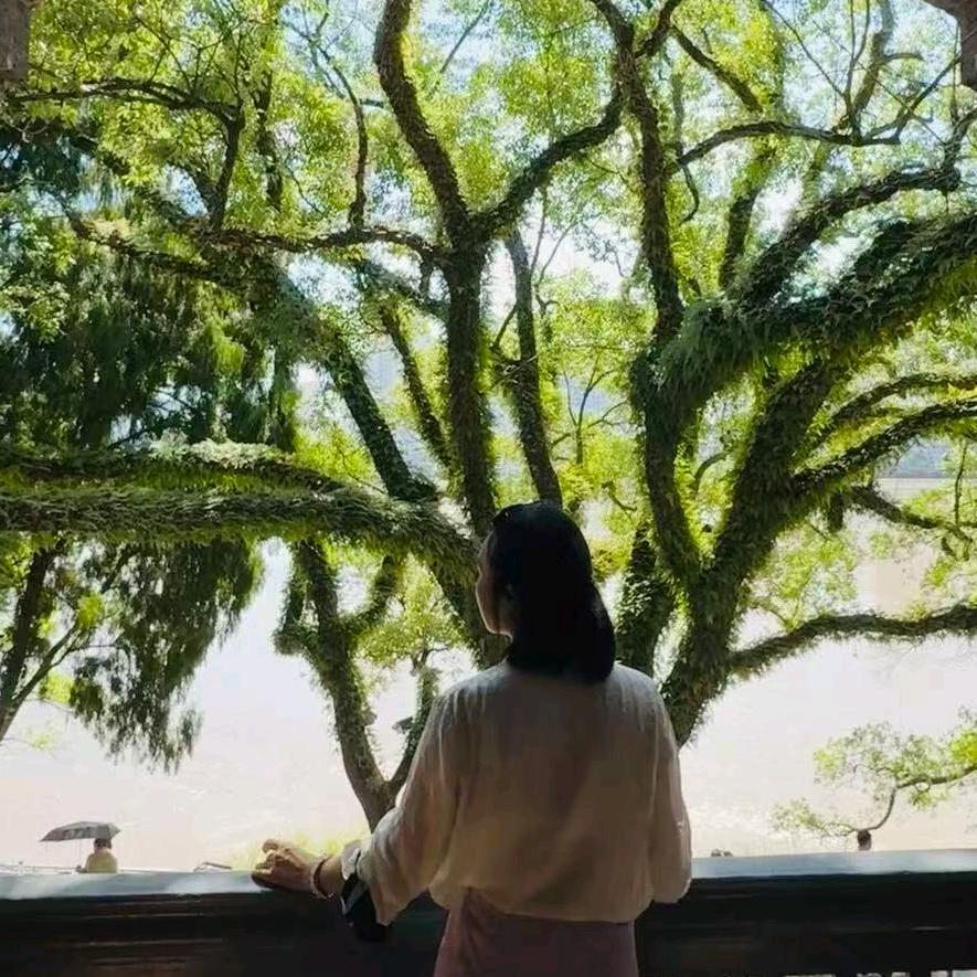 梅梅爱说话