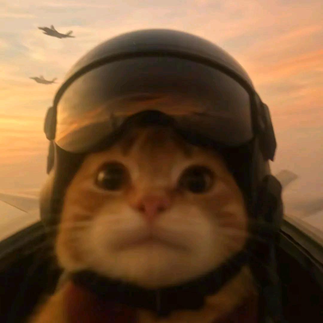 三角洲鼠鼠跑刀