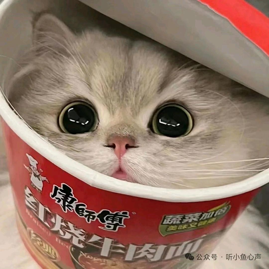 梦中的梦中，我找不到逃脱的路