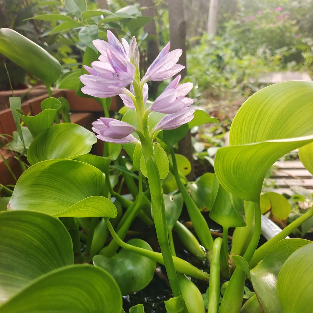 来个网名