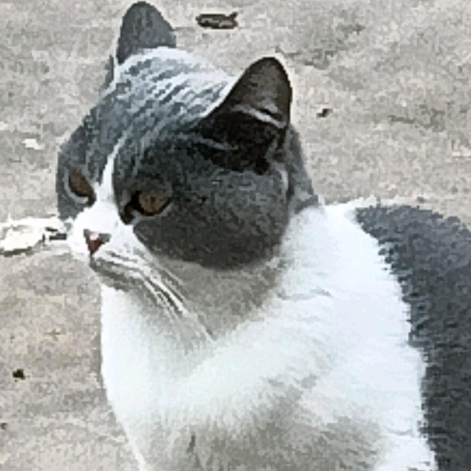 杰夫头像