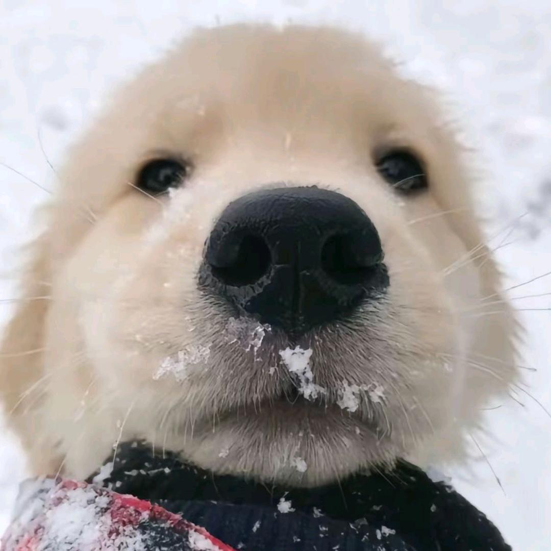 ¹