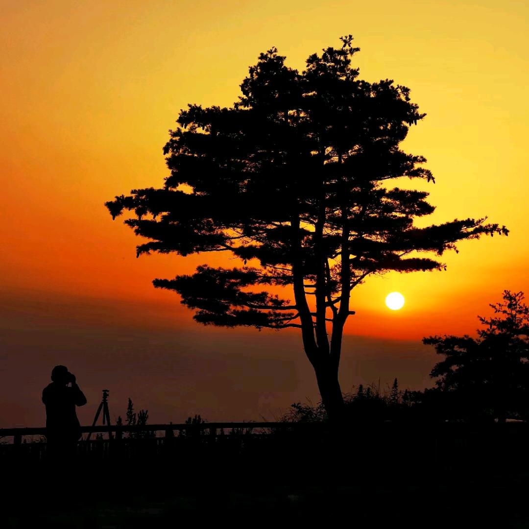 唯你相伴  like you