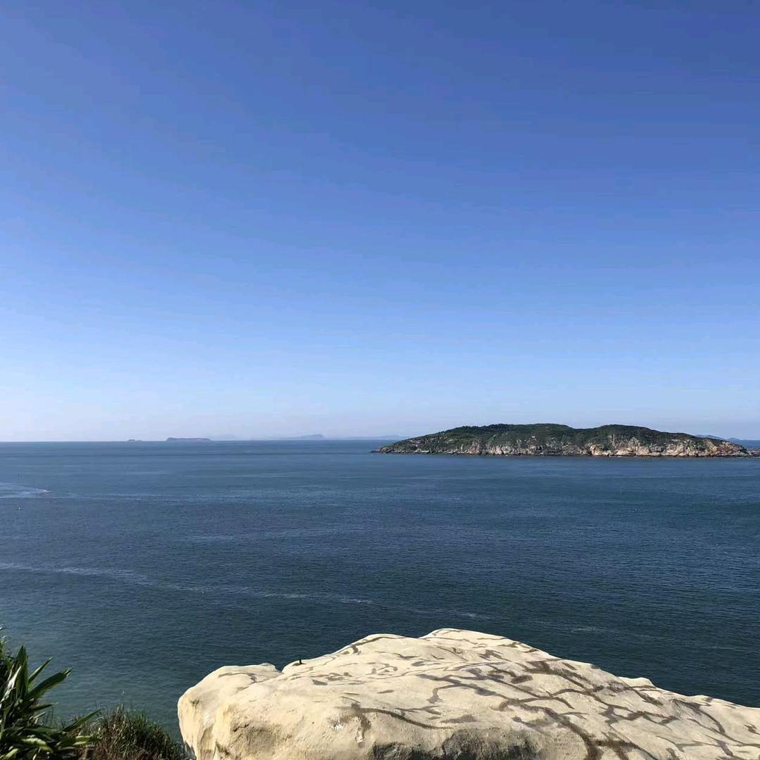 淡墨