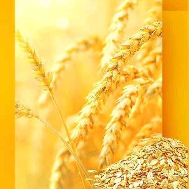 小红马调料，酱菜