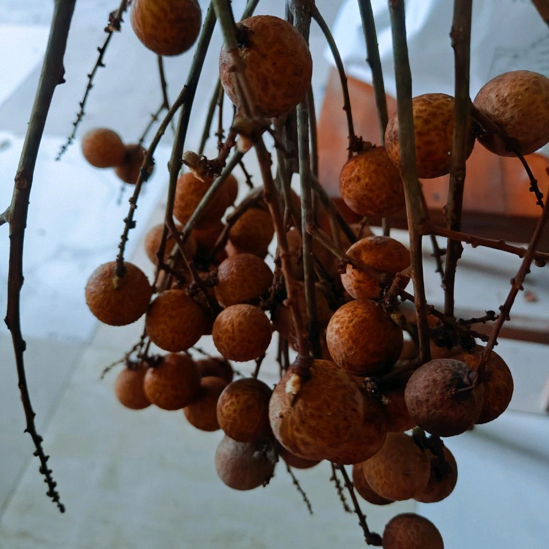 豫南王哥，(生活号🐂🍺🐂)