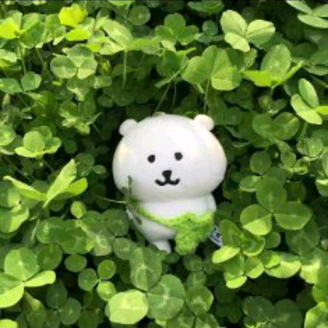 ❤️我的安安❤️