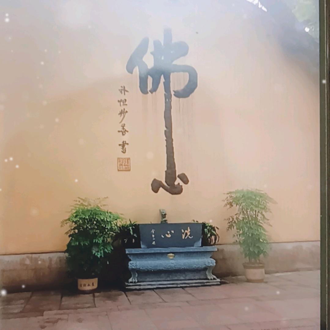 楚缘糖@俊俊4